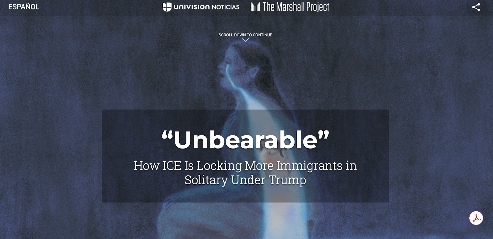 ICE & Solitary Confinement